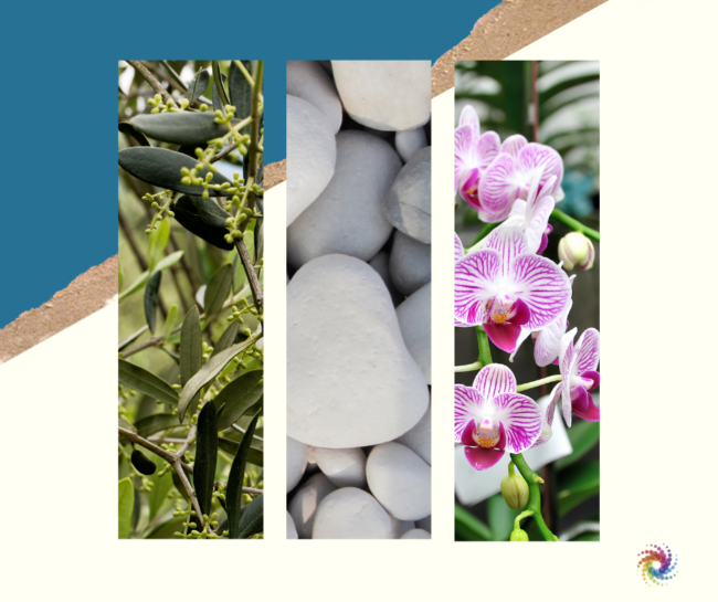 Copy%20of%20Mint%20Green%20Fashion%20Collage%20Instagram%20Post