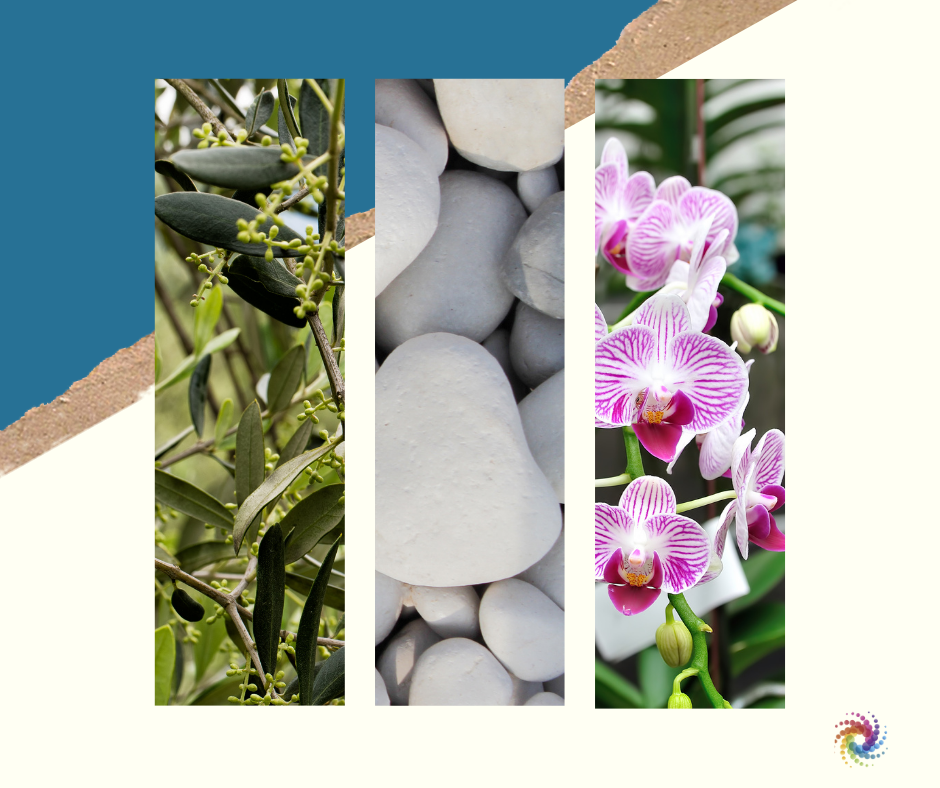 Copy%20of%20Mint%20Green%20Fashion%20Collage%20Instagram%20Post